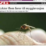 Hvordan bli kvitt mygg - VG
